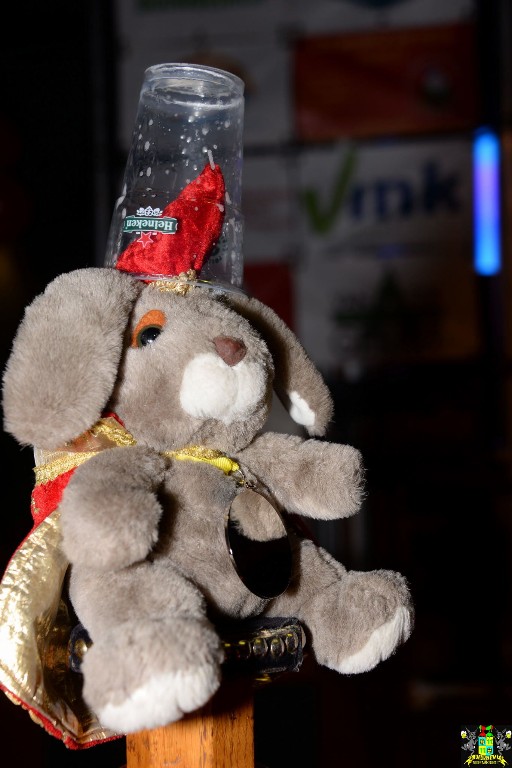 ../Images/Rock 'n Roll feest Tulpkabouters 052.jpg